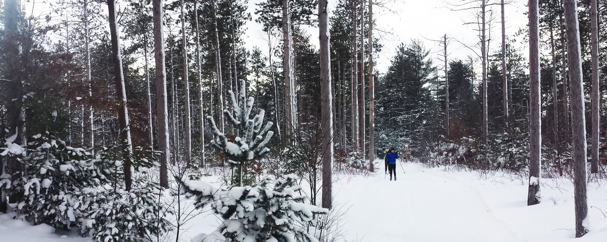cross country skiing
