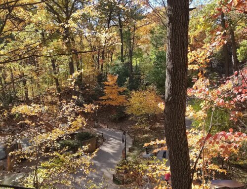 Thankful for West Michigan