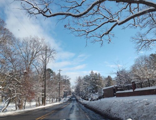 Bundle Up! West Michigan’s Best December Adventures